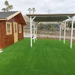 Mariposa Relax En Medio De La Naturaleza 아데제