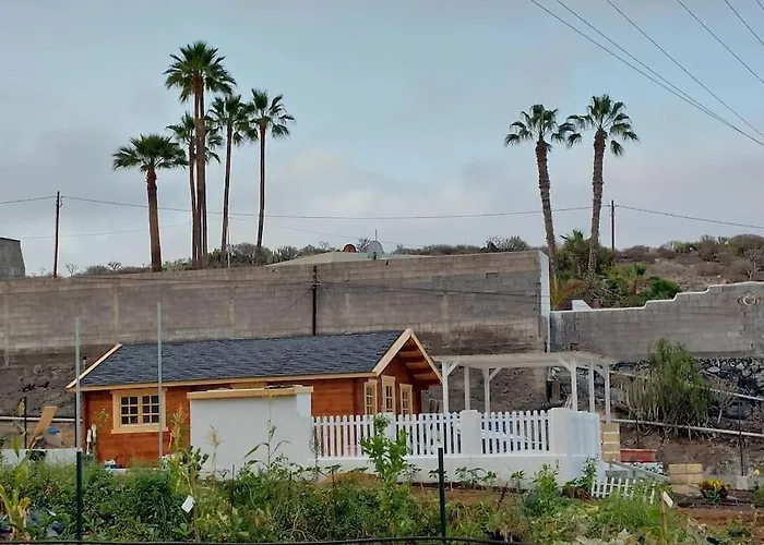 Mariposa Relax En Medio De La Naturaleza *