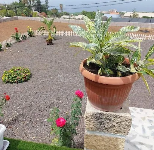 Mariposa Relax En Medio De La Naturaleza * Costa Adeje (Tenerife)