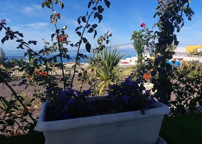 Mariposa Relax En Medio De La Naturaleza Nyaraló