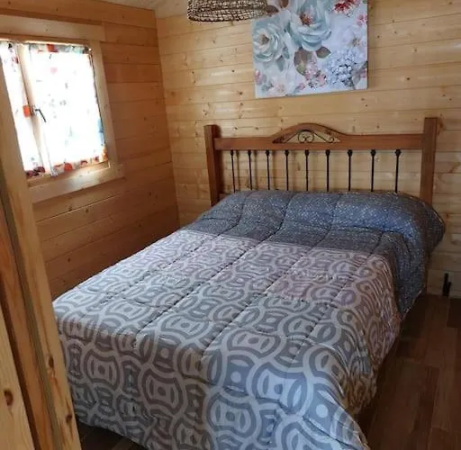 Mariposa Relax En Medio De La Naturaleza *